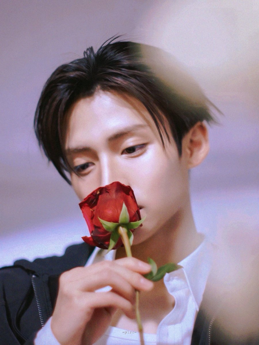 eclairswon's tweet photo. with flowers . ݁⋆💐 ݁˖ https://t.co/AfyaunNmx1