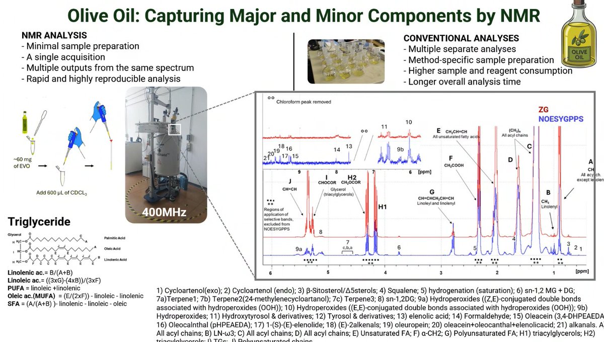 cerm_cirmmp's tweet photo. An interesting shift in focus with the presentation by Dr. Gaia Meoni " #Metabolomics in food characterization: #Foodomics"

#MRLATVIA #NMR https://t.co/4pfO6Kf5AZ