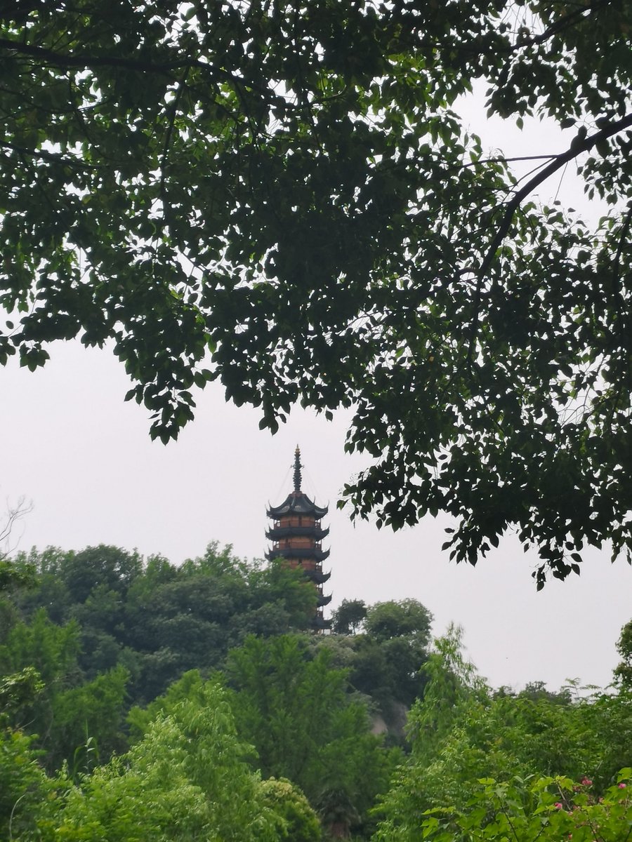 its_a_eonar_3fe's tweet photo. [Yǎnliáo’s elegant bird shows up in the quiet woods today.] https://t.co/s6zkOhZwic