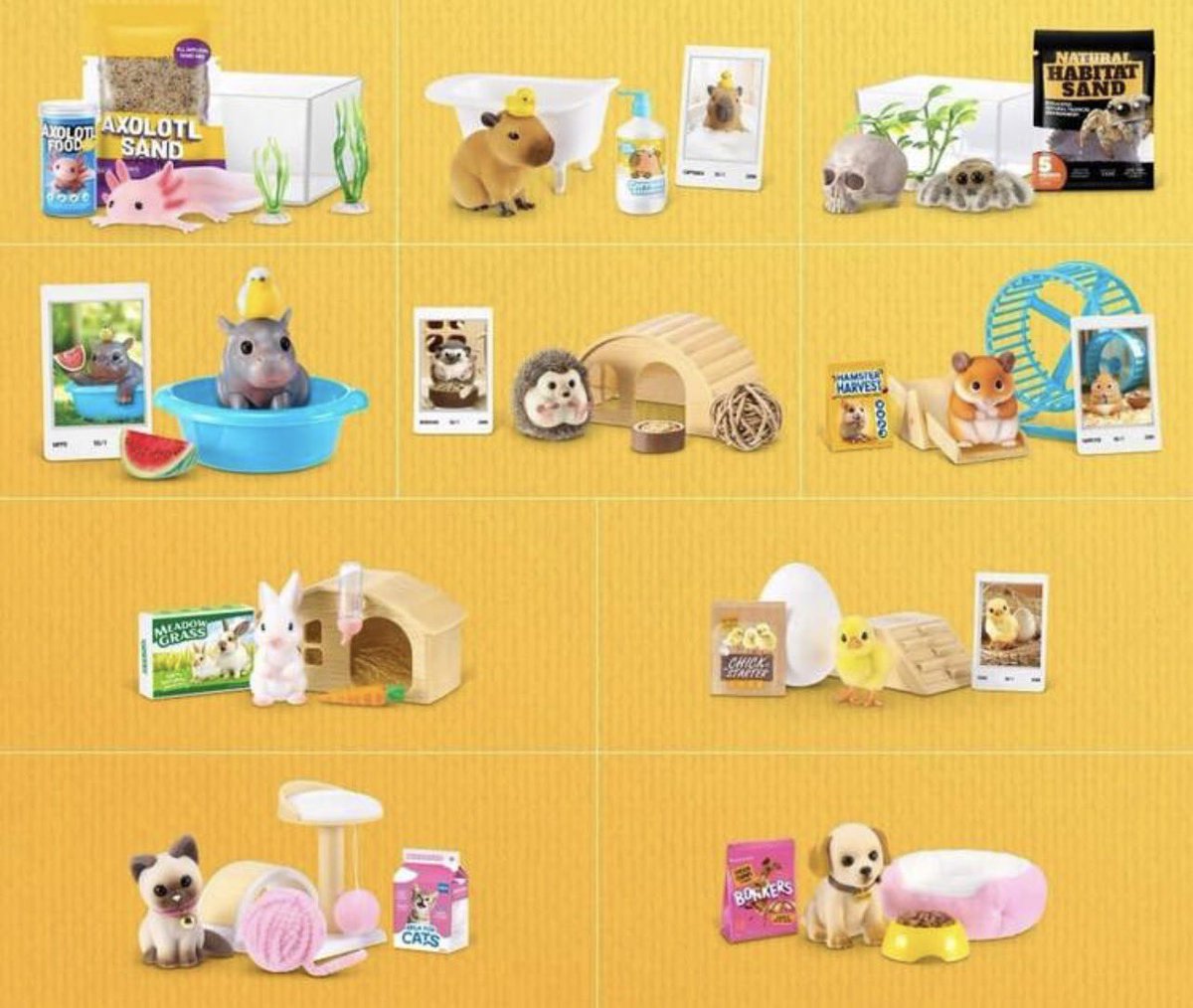 currentlyawayy's tweet photo. I have a reason to live 
شريت blind box 
ومتحمسه اشوف وش الpet اللي بيطلع لي راح اعامله بكل حب وحنية كأنه ولدي 
حماااااس https://t.co/xxzzL2FHFy