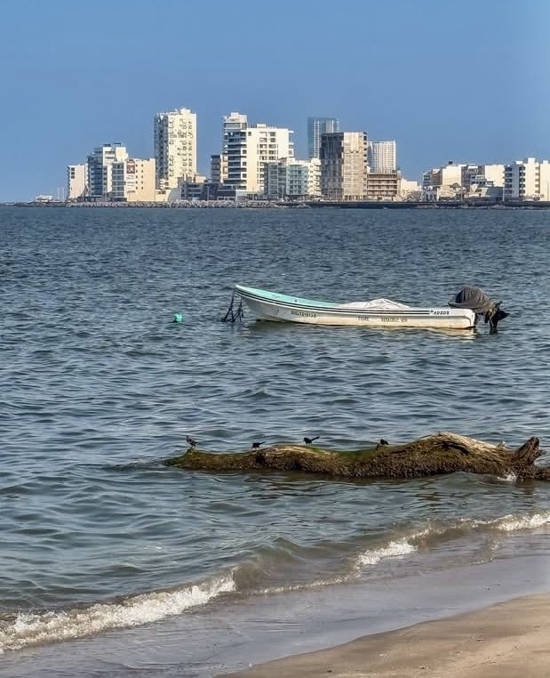 love_veracruz_'s tweet photo. Muy buenos días, Veracruz.🤗⛵️🌊🌴🚗 Hoy toca levantarse, sonreír y darle con todo a nuestros pendientes. No importa si tienes una gran meta o simplemente quieres terminar bien tu jornada: cada esfuerzo cuenta. ¿Qué tienen que hacer hoy? Trabajo, escuela, compras, pendientes. https://t.co/nrb1hdowZu