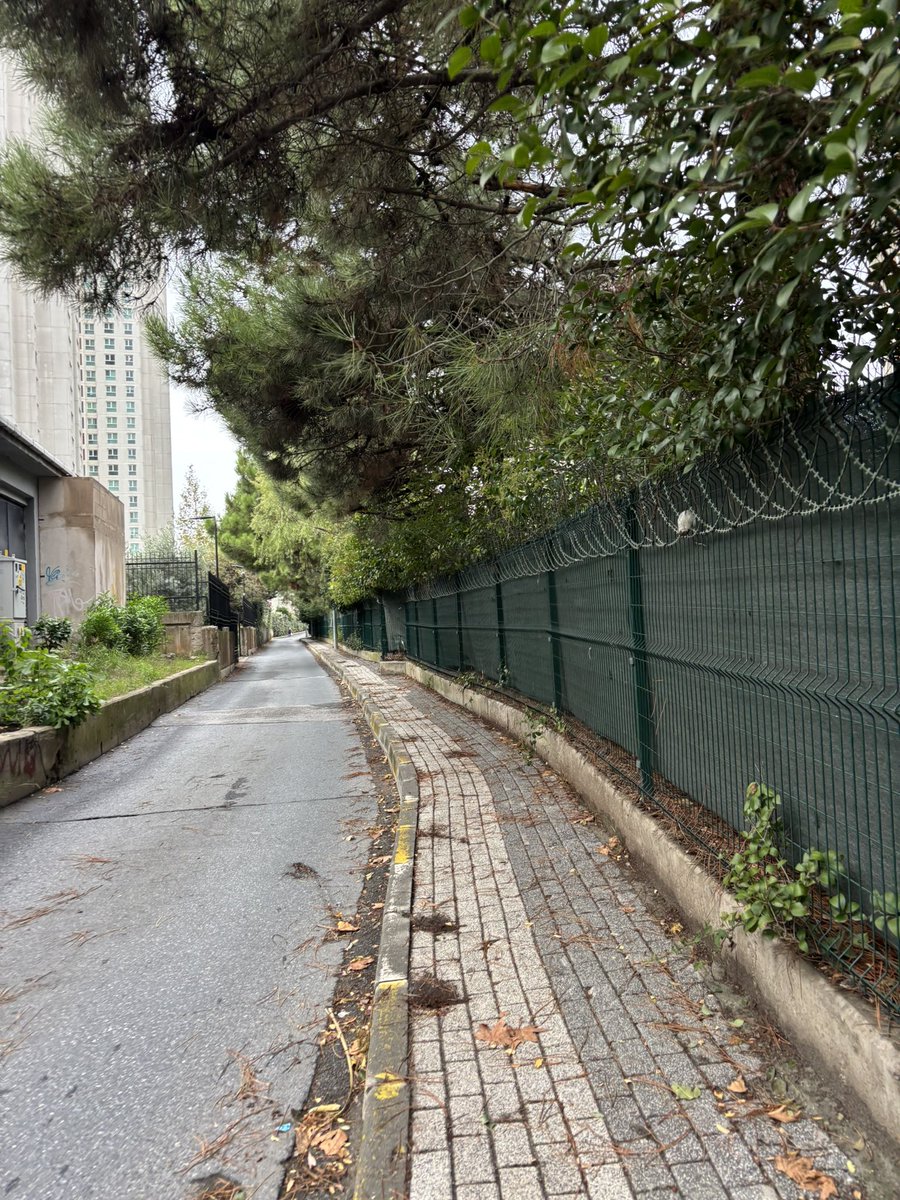 ozhanaygun's tweet photo. Atatürk M. Gökçe sokakta ağaç dalları yüzünden kaldırımda kafamızı eğmeden yürünmüyor. İlgilenir misiniz? @atasehirbld https://t.co/4e7FCowgfv