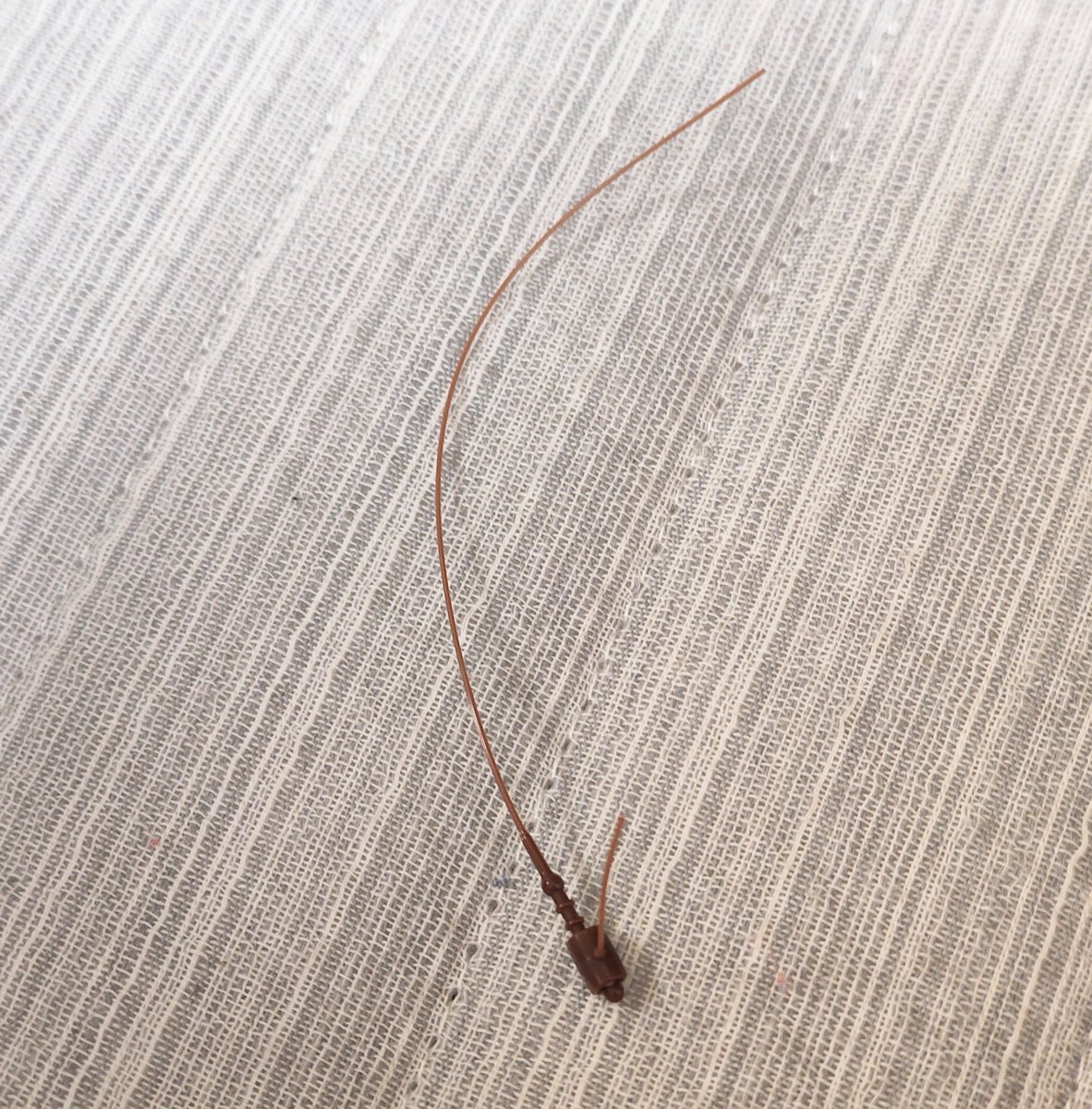 dmdmtanishippp's tweet photo. 服の値札とかつけるプラの紐を茶色にしたやつふざけるな
奴の触角すぎて床に落ちててキュウリ猫になった https://t.co/GsdhUZkFQ2
