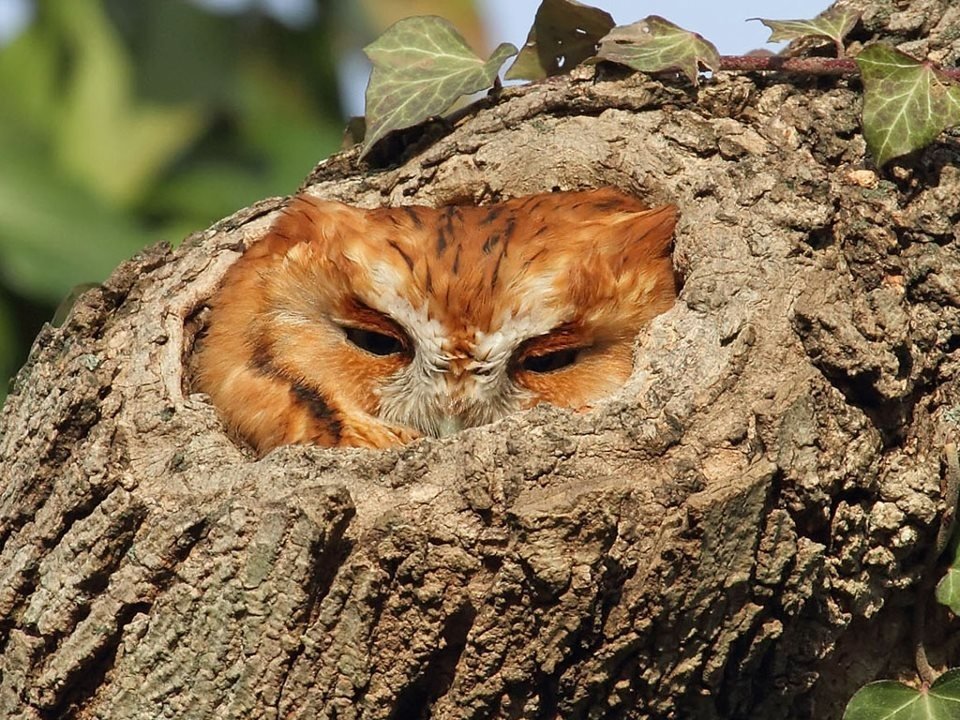 koelooooo's tweet photo. hiding.,..... hiding away........... https://t.co/QmFaKpnDPx