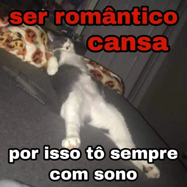 acervobichinho's tweet photo. https://t.co/1zKffGHcdG