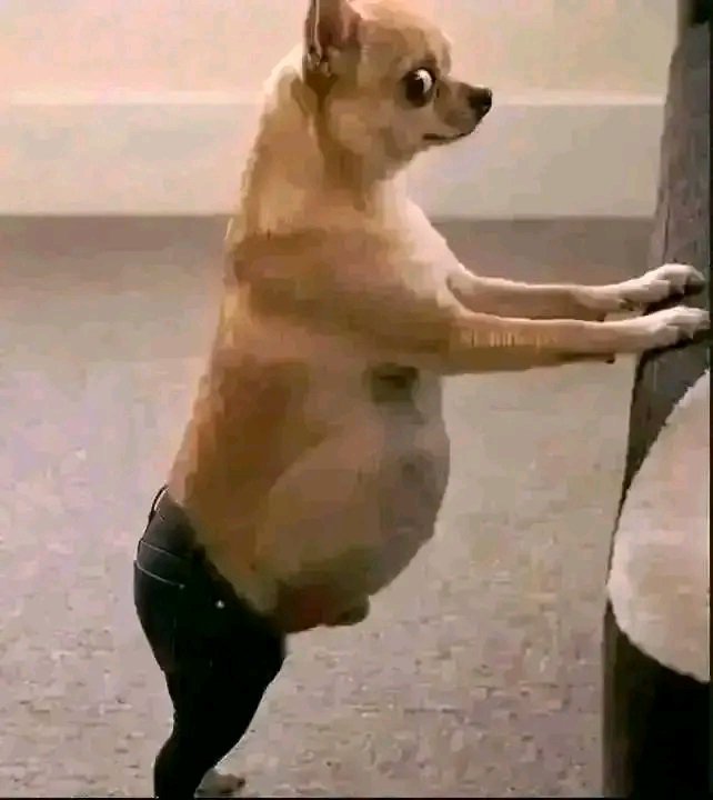 OkedelepaulPaul's tweet photo. In everything you do in this life, don't mistakenly send money to my acc and you will think I will send it back oooo🧏😌 https://t.co/7IZOwLsDmx