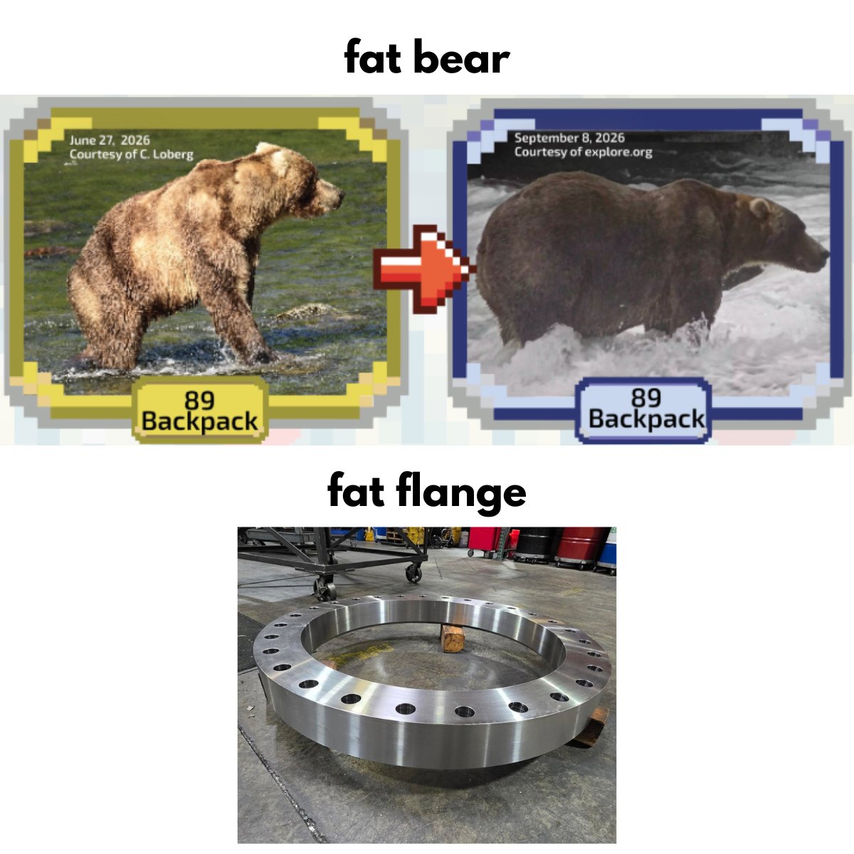 apiint_US's tweet photo. Fat Bear Week celebrates bears that spent all summer bulking up for winter. 🐻

We’d like to submit a flange for consideration: a 30" IPS 4"-thick backing flange for HDPE systems.

It may not qualify, but we’re proud of our heavyweights.

#Manufacturing #FatBearWeek #FatBear https://t.co/2iVHPlQiM2