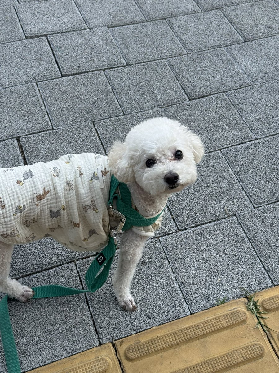 _sungkook's tweet photo. 오늘도 끝, 고생했어요 🌝🐶 https://t.co/XqWcxtLyku