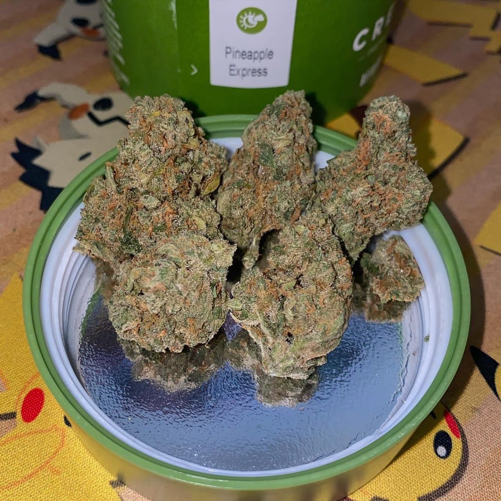 JimBelushiOre's tweet photo. I will never quit from smoking weed because I know the health benefits I derive from it. EXCEPT otherwise for you.
 Send a DM to get our menu. We ship all over the United States and Europe discreetly and vacuum sealed. https://t.co/wfCznPNioC
