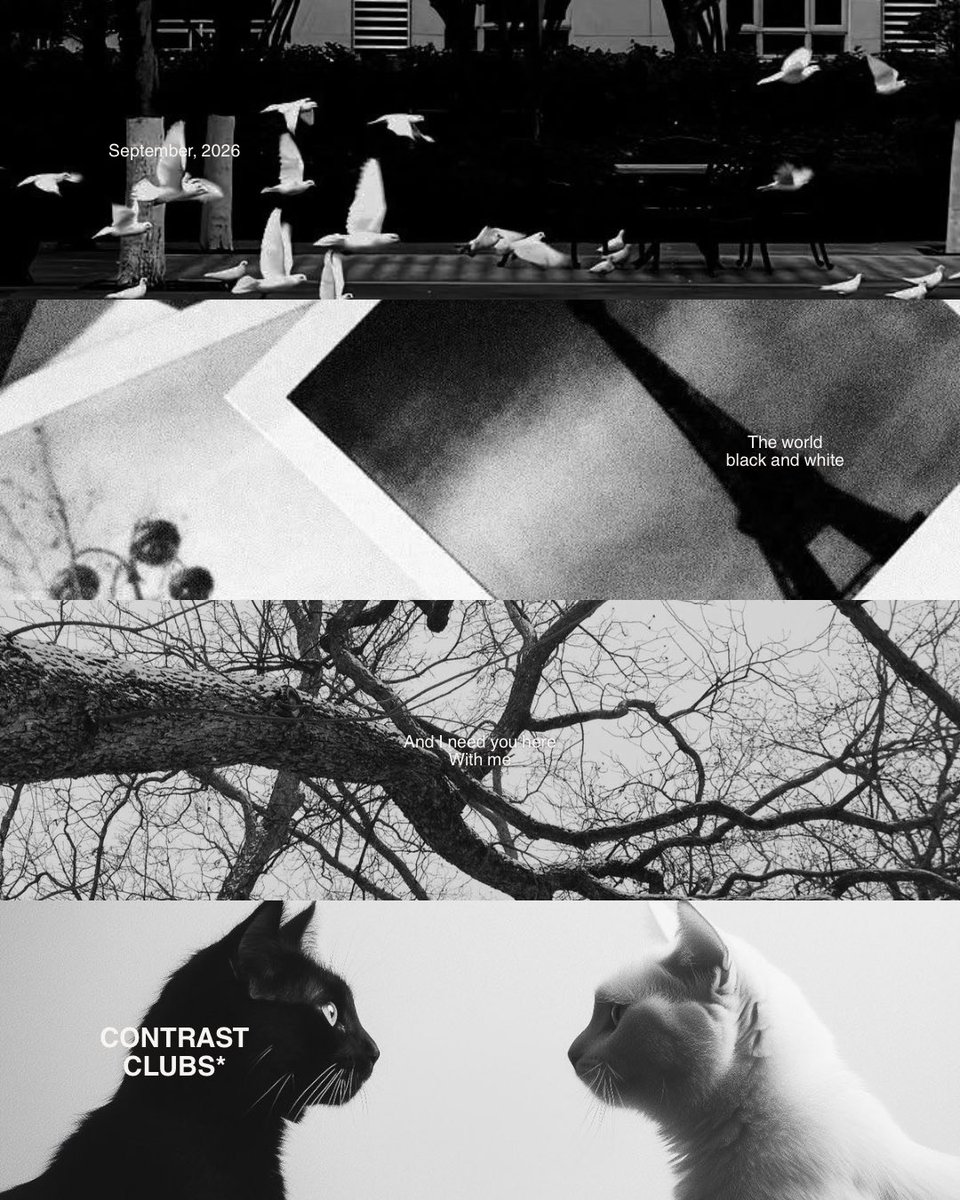ContrastClubs's tweet photo. https://t.co/Sqv0HdDEY3