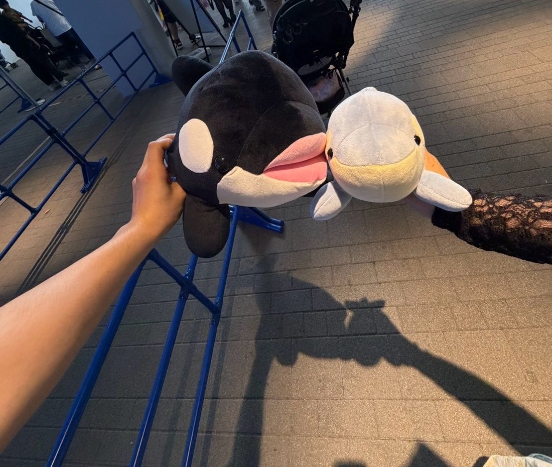 AF_nya69's tweet photo. 神戸おとまり楽しかったなぁ……… https://t.co/NVKiP7kJuE