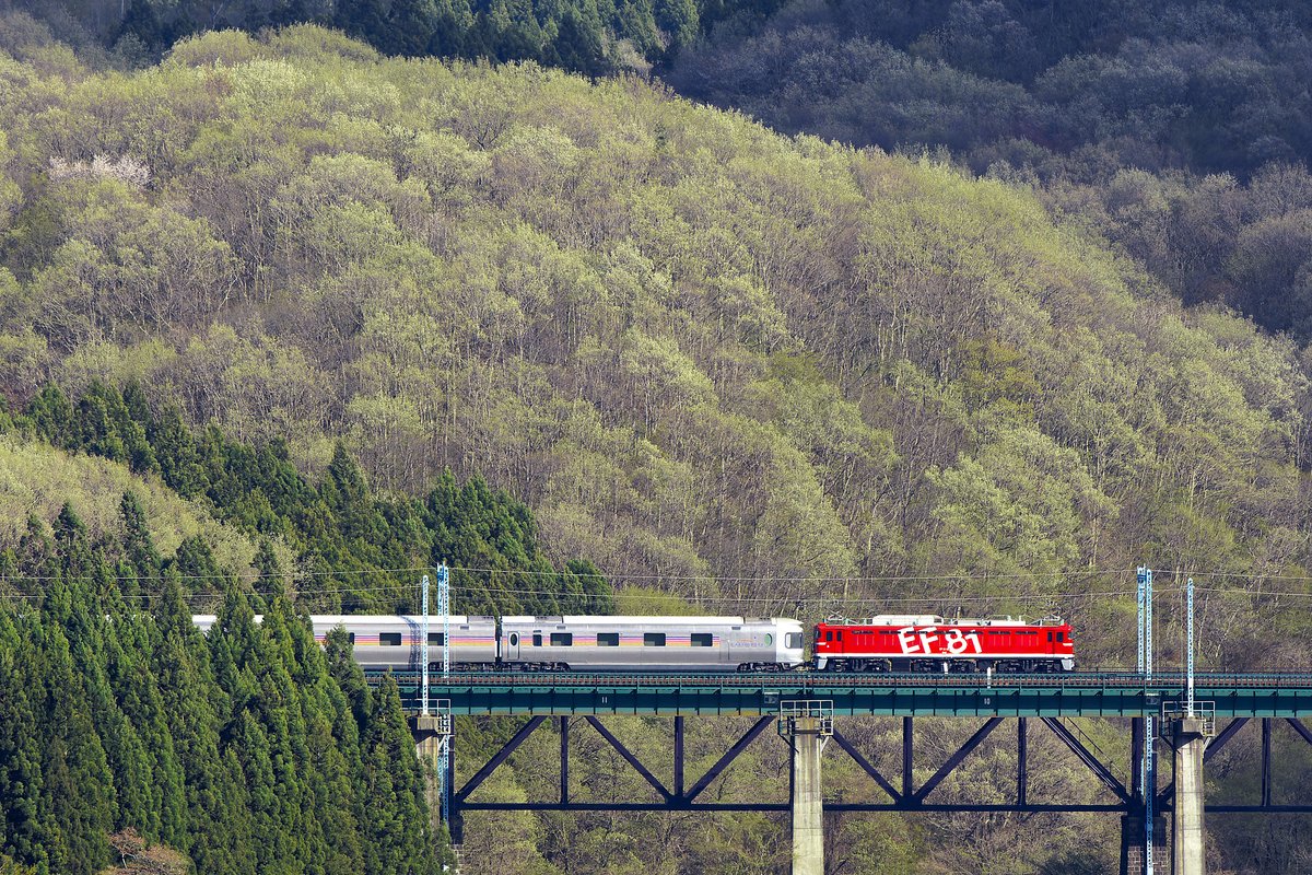 InoppyX's tweet photo. EF81-95
3月20日の撮影会の時点ですでに痛々しい姿でしたが、ついに逝ってしまいましたか。
いままでありがとう。
おやすみなさい。 https://t.co/pigAolLbd9