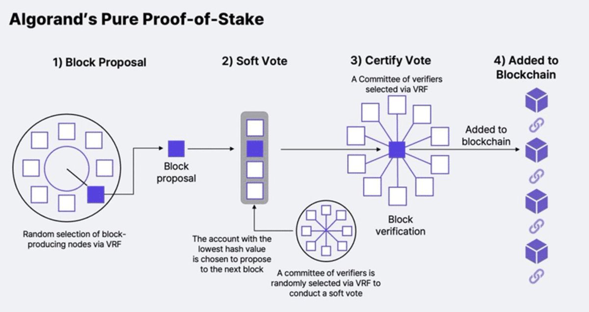 RealAllinCrypto's tweet photo. 🚨ALGORAND WAS BUILT DIFFERENT FROM THE START! $ALGO

@Algorand randomly changes who helps secure the network every single round as this image shows.

And their Pure Proof-of-Stake makes validators extremely difficult to predict or target, while delivering fast, secure and decentralized transactions.

This is bullish for $ALGO because randomly rotating validators makes the network harder to attack while preserving the speed and security institutions need.