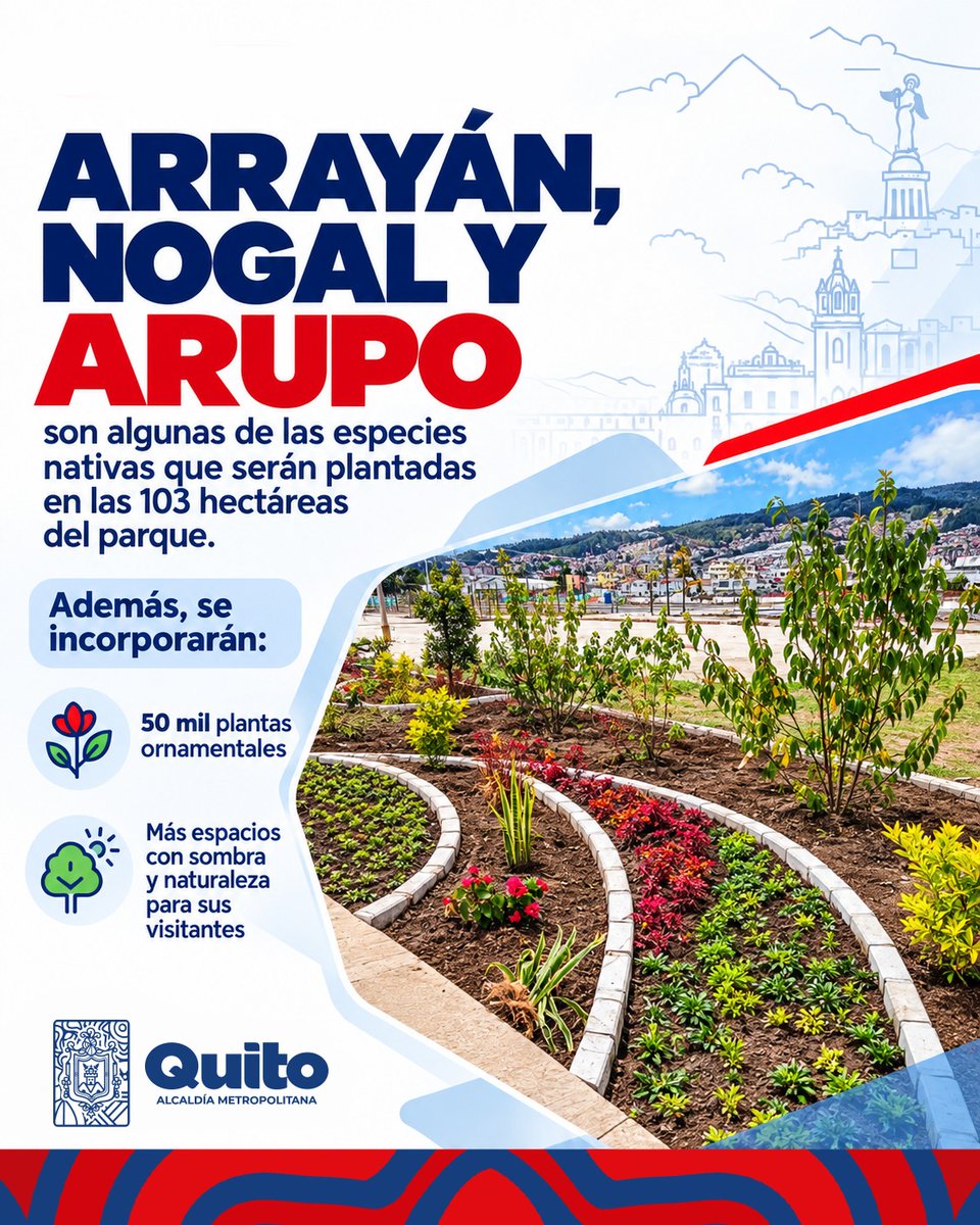 ObrasQuito's tweet photo. 🌳 #ParqueBicentenario  | Vuelve a florecer 🌳

Arrayán, nogal y arupo ya forman parte de los nuevos árboles que plantamos como parte de la rehabilitación y repotenciación integral del #Bicentenario.

Más de 130 mil usuarios mensuales disfrutarán de un parque renovado, con más naturaleza, deporte y espacios para compartir.

Léelo aquí➡️ https://t.co/FAIH4KqzBL