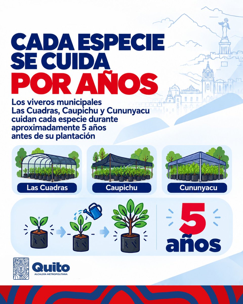 ObrasQuito's tweet photo. 🌳 #ParqueBicentenario  | Vuelve a florecer 🌳

Arrayán, nogal y arupo ya forman parte de los nuevos árboles que plantamos como parte de la rehabilitación y repotenciación integral del #Bicentenario.

Más de 130 mil usuarios mensuales disfrutarán de un parque renovado, con más naturaleza, deporte y espacios para compartir.

Léelo aquí➡️ https://t.co/FAIH4KqzBL