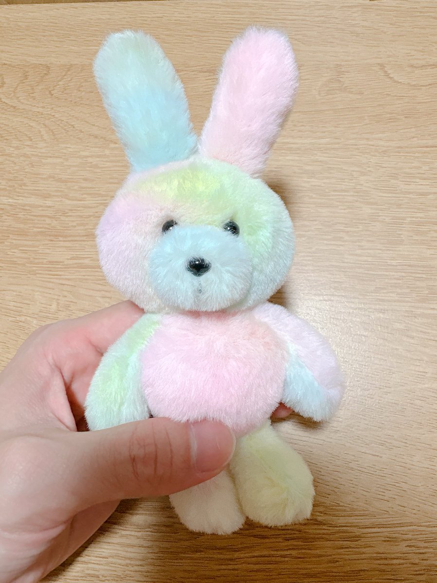 waka_yu06's tweet photo. うちの子めっちゃ綺麗な色の子すぎない！？ https://t.co/HwRZ91Vh2l