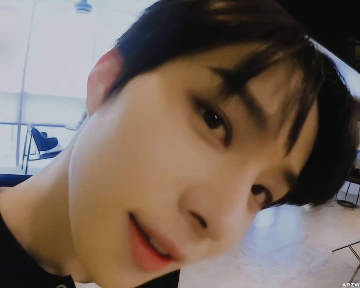 ontlixn's tweet photo. 걍아지 펫캠 시점 https://t.co/bh1XbZ7s7t