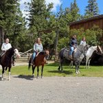 Photo by Echo Valley Ranch (@EVranch)