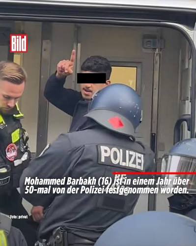 ainyrockstar's tweet photo. Barbakh….das sind diese hochaggressiven Leute aus Gaza, wie etwa hier unser allseits bekannter Mohammed Barbakh. 

Und auch hier wiederhole ich mich: 

So lange dieses kriminelle, antisemitische Gesockse nicht aus diesem Land geschmissen wird, braucht mir keiner mit Migrationswende kommen.