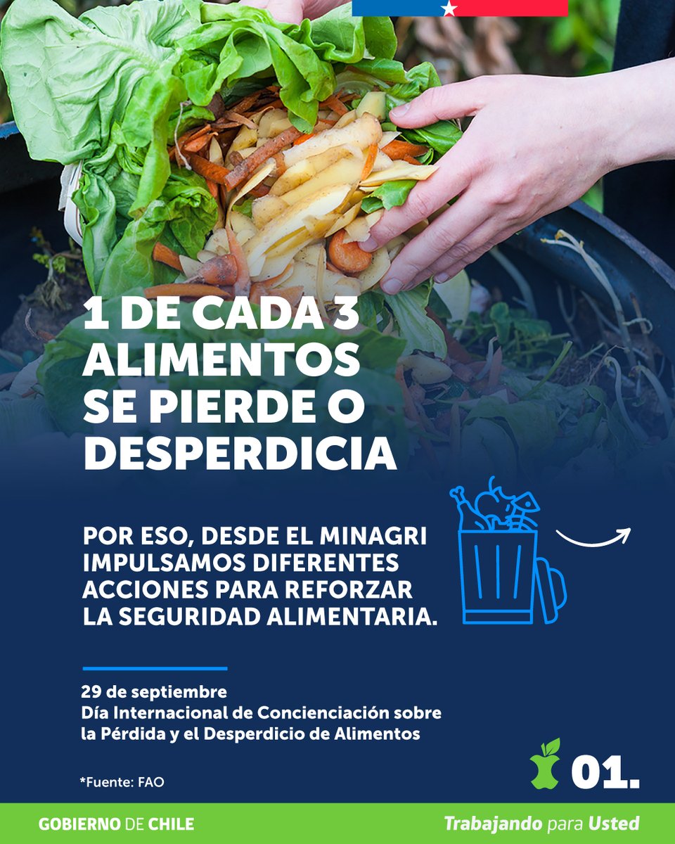 MinagriCL's tweet photo. 🍎 ¿Sabías que 1 de cada 3 alimentos se pierde o desperdicia?

Reducir las pérdidas y desperdicios de alimentos es clave para avanzar hacia un sistema alimentario más sostenible y fortalecer nuestra seguridad alimentaria 🌱

Desde el @MinagriCL impulsamos distintas acciones para prevenir y reducir la pérdida y desperdicio de alimentos a lo largo de toda la cadena alimentaria, promoviendo innovación, tecnología, educación y coordinación.