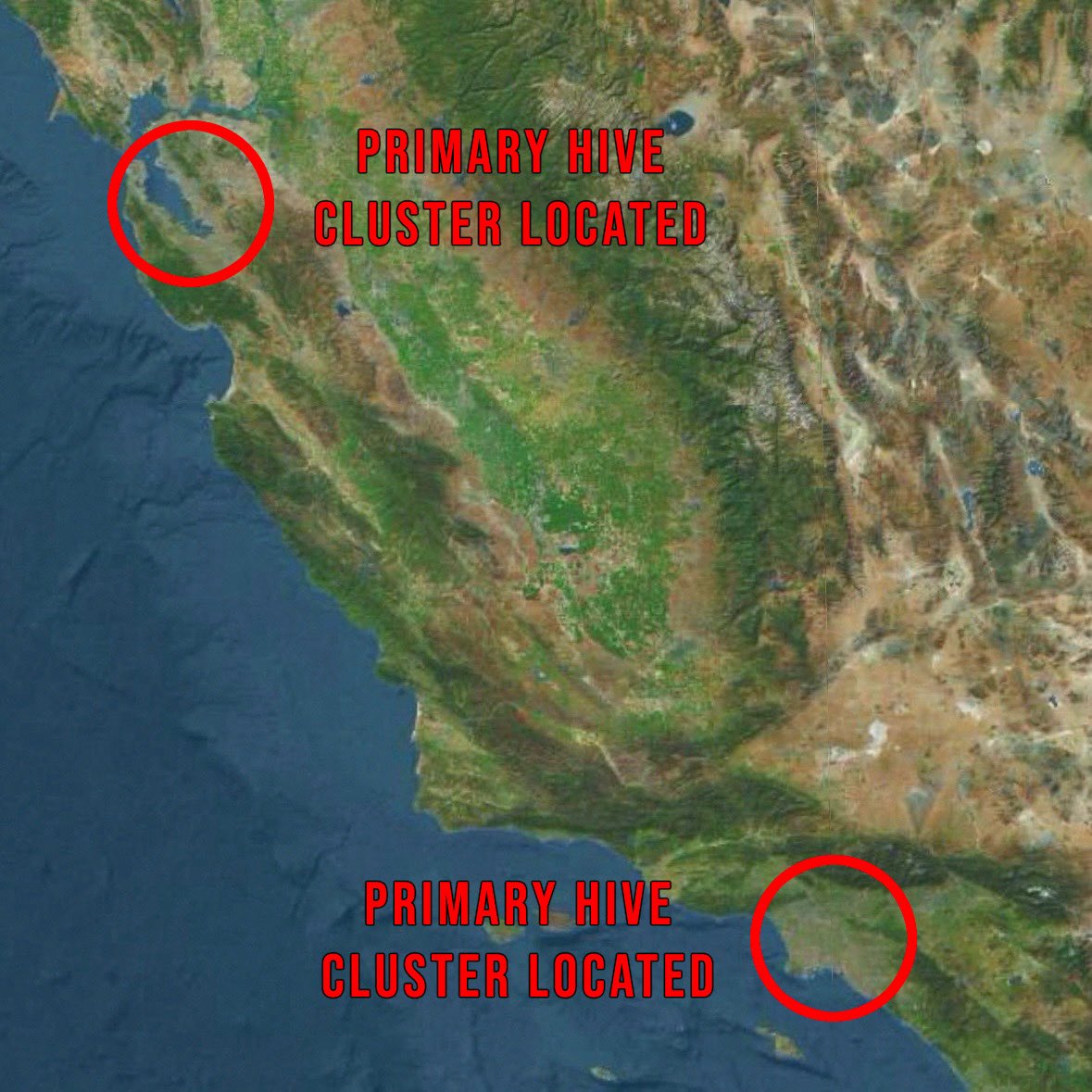TotalRemigrate's tweet photo. 🚨CALIFORNIA H1-BS EXPOSED

The Primary Hive Cluster of San Francisco has 13,000 businesses registering H1-Bs, largely in tech.

The Primary Hive Cluster of Los Angeles has 11,000 businesses registering H1-Bs, largely in IT.

Southern California is now being systematically and automatically exposed, flagged and reported for H1-B fraud.

The Liberation of California against the Zerg Swarm has begun!