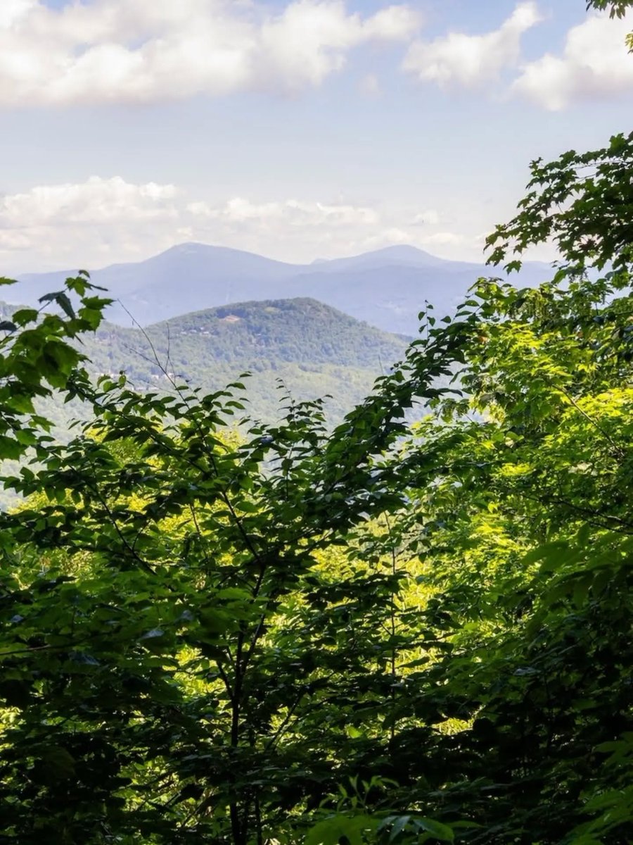 ncculture's tweet photo. WNC outdoor spaces are rebuilding, with 301 of 315 damaged miles cleared, including part of the Profile Trail at Grandfather Mountain State Park. Over $4M supports 11 park projects through the Helene Recovery Fund for PARTF.📷 Grandfather Mtn. State Park, c/o NC State Parks. https://t.co/Kg5BGOue8T