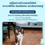 Photo by Catster & Co บ้านพักพิงแมวจร (@CatsterClub)