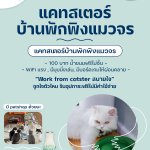 Photo by Catster & Co บ้านพักพิงแมวจร (@CatsterClub)