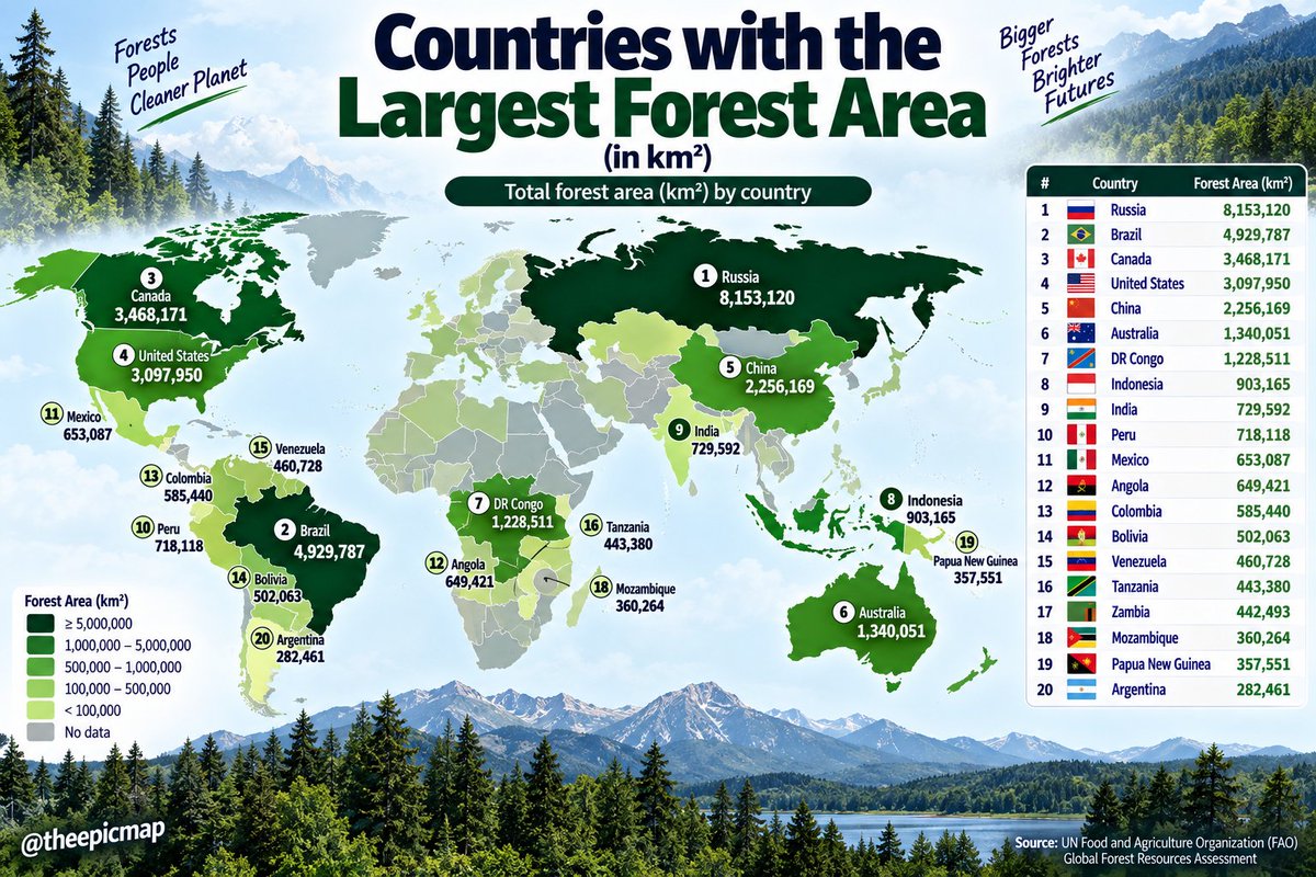 theepicmap's tweet photo. Countries with the Largest Forest Area

1. 🇷🇺 Russia - 8,153,120 km²
2. 🇧🇷 Brazil - 4,929,787 km²
3. 🇨🇦 Canada - 3,468,171 km²
4. 🇺🇸 United States - 3,097,950 km²
5. 🇨🇳 China - 2,256,169 km²
6. 🇦🇺 Australia - 1,340,051 km²
7. 🇨🇩 DR Congo - 1,228,511 km²
8. 🇮🇩 Indonesia - 903,165 km²
9. 🇮🇳 India - 729,592 km²
10. 🇵🇪 Peru - 718,118 km²
11. 🇲🇽 Mexico - 653,087 km²
12. 🇦🇴 Angola - 649,421 km²
13. 🇨🇴 Colombia - 585,440 km²
14. 🇧🇴 Bolivia - 502,063 km²
15. 🇻🇪 Venezuela - 460,728 km²
16. 🇹🇿 Tanzania - 443,380 km²
17. 🇿🇲 Zambia - 442,493 km²
18. 🇲🇿 Mozambique - 360,264 km²
19. 🇵🇬 Papua New Guinea - 357,551 km²
20. 🇦🇷 Argentina - 282,461 km²

Source: UN Food and Agriculture Organization (FAO) Global Forest Resources Assessment