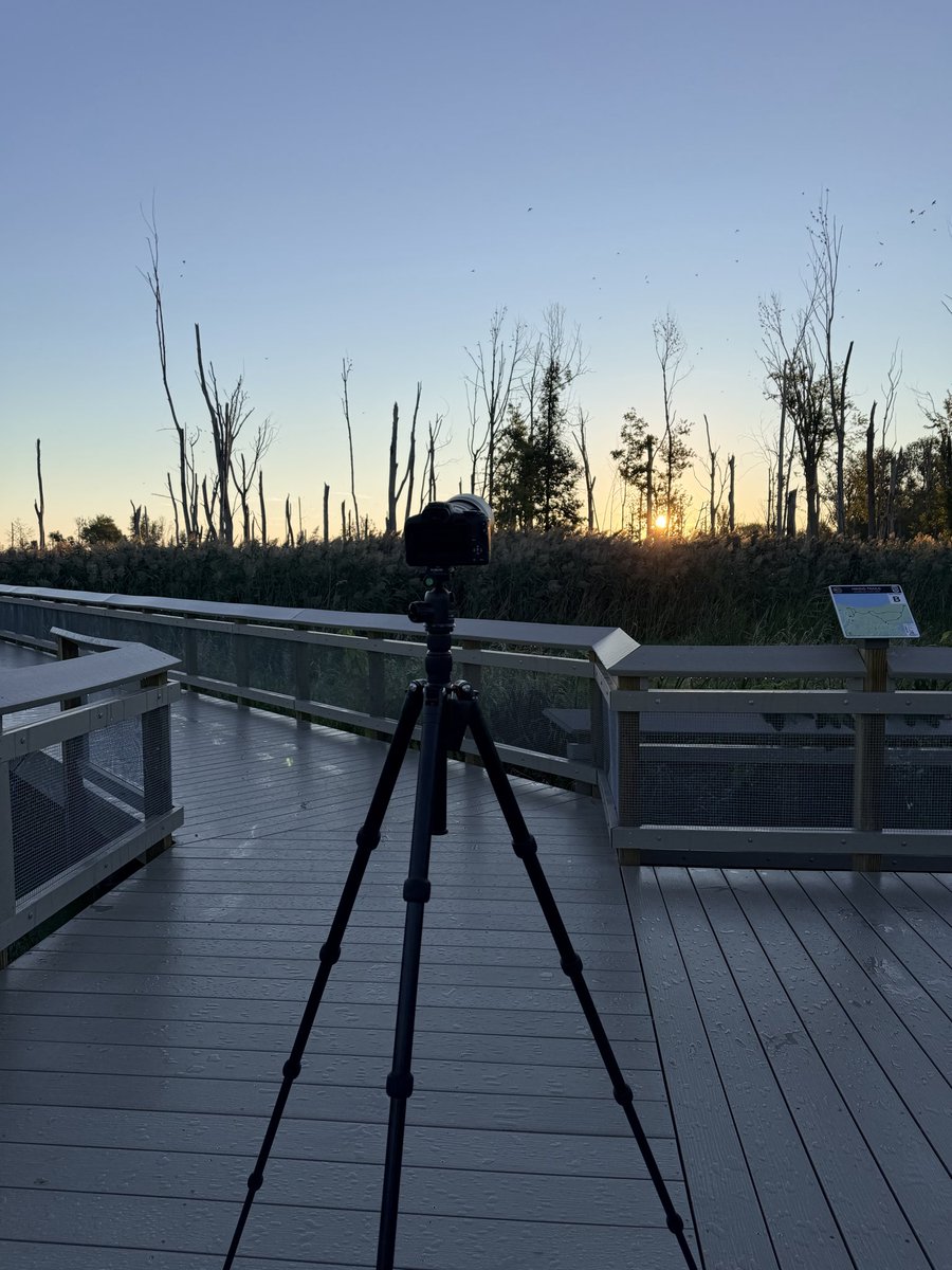 Michael_USMC's tweet photo. Canadian Geese

Birding this morning, waiting on the nesting eagles 🦅 https://t.co/iDcNXsOV1N
