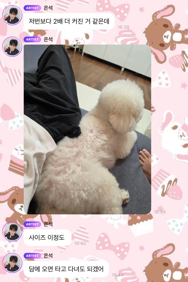 mangostickylike's tweet photo. seok's 🫧 

: ไม่ได้กลับบ้านนาน ได้เจอชาร์ลี
: มีหมีตัวนึงนั่งอยู่
: (ส่งรูป)
: ทำไมตัวใหญ่ขึ้นเรื่อย ๆ เลยนะ ?
: ดูเหมือนว่าจะตัวใหญ่ขึ้นจากที่เจอครั้งที่แล้วตั้ง 2 เท่าเลย
: (ส่งรูป)
: ตัวใหญ่ประมาณนี้เลยอะ
: มาอีกครั้งหน้าต้องลองขี่(ชาร์ลี)ไปไหนมาไหนดูแล้วล่ะ

รณรงค์ศิลปินอย่าอะบูลิจี้ม๋าตัวเองนะคะ 🚶🏻‍♀️‍➡️🚶🏻‍♀️‍➡️