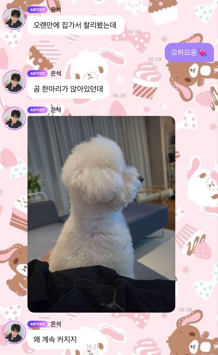 mangostickylike's tweet photo. seok's 🫧 

: ไม่ได้กลับบ้านนาน ได้เจอชาร์ลี
: มีหมีตัวนึงนั่งอยู่
: (ส่งรูป)
: ทำไมตัวใหญ่ขึ้นเรื่อย ๆ เลยนะ ?
: ดูเหมือนว่าจะตัวใหญ่ขึ้นจากที่เจอครั้งที่แล้วตั้ง 2 เท่าเลย
: (ส่งรูป)
: ตัวใหญ่ประมาณนี้เลยอะ
: มาอีกครั้งหน้าต้องลองขี่(ชาร์ลี)ไปไหนมาไหนดูแล้วล่ะ

รณรงค์ศิลปินอย่าอะบูลิจี้ม๋าตัวเองนะคะ 🚶🏻‍♀️‍➡️🚶🏻‍♀️‍➡️