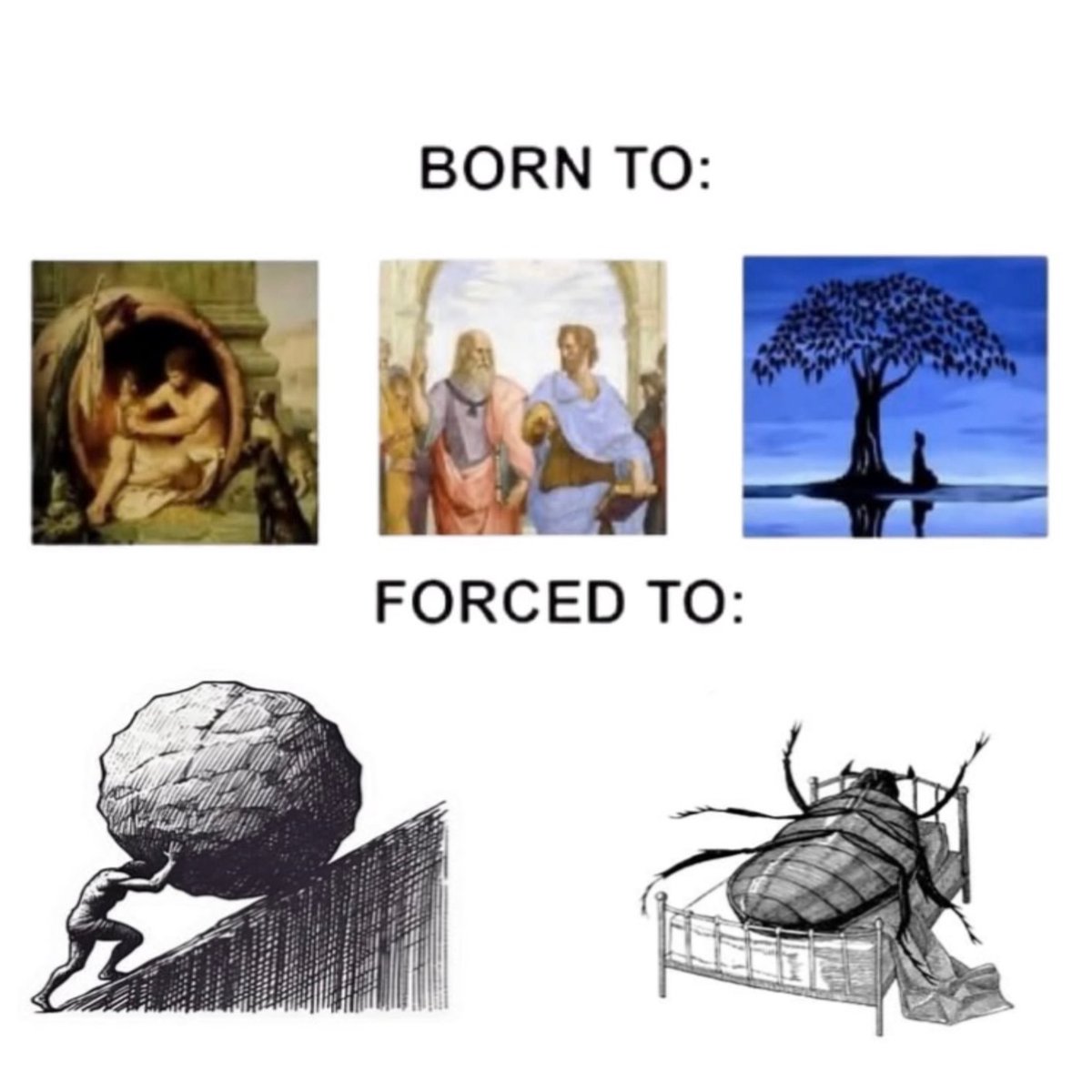 philosophymeme0's tweet photo. https://t.co/elgJkgdxvl