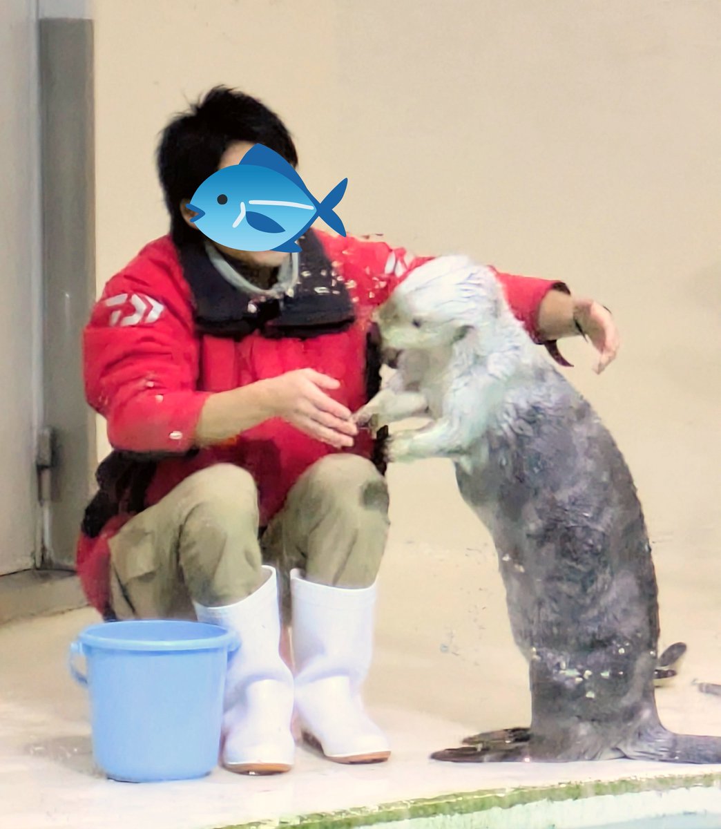 Fjt_sb5's tweet photo. 今日はねラッコが見た過ぎて土砂降りの中、鳥羽まで来てました🦦 https://t.co/h85Y7cpmS7