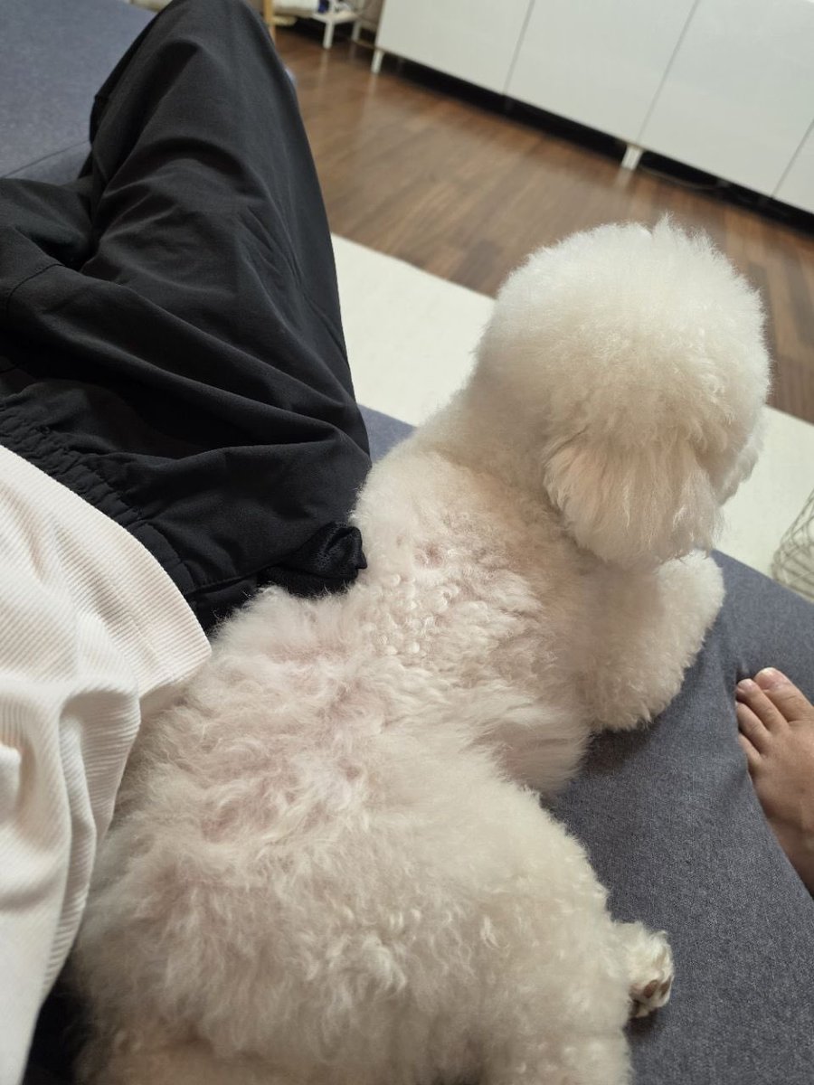 jemujume's tweet photo. อึนซอกบอกว่านาน ๆ ทีได้กลับบ้านเลยได้เจอชาร์ลีด้วย ฮีบอกเห็นเหมือนมีหมีตัวหนึ่งนั่งอยู่ตรงนั้น
แล้วส่งรูปชาร์ลีมานั่งหลังตรงเลย 5555555555 แกล้งมากก บอกว่ารู้สึกว่าตัวใหญ่ขึ้นเป็น 2 เท่าจากครั้งก่อน คราวหน้าถ้ามาหาอีกก็คงขี่ไปไหนมาไหนได้แล้วว โอยย55555 https://t.co/oxQYdfJ5DQ