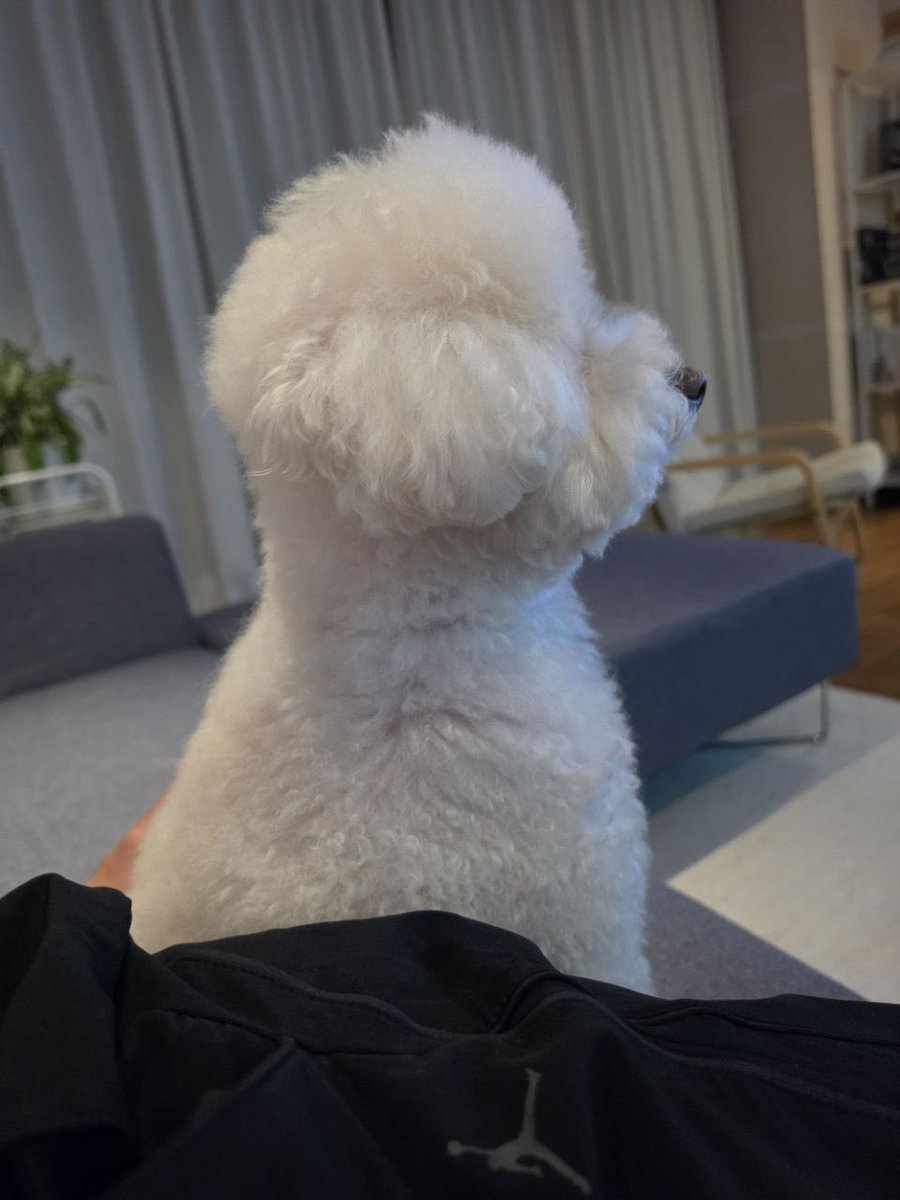 jemujume's tweet photo. อึนซอกบอกว่านาน ๆ ทีได้กลับบ้านเลยได้เจอชาร์ลีด้วย ฮีบอกเห็นเหมือนมีหมีตัวหนึ่งนั่งอยู่ตรงนั้น
แล้วส่งรูปชาร์ลีมานั่งหลังตรงเลย 5555555555 แกล้งมากก บอกว่ารู้สึกว่าตัวใหญ่ขึ้นเป็น 2 เท่าจากครั้งก่อน คราวหน้าถ้ามาหาอีกก็คงขี่ไปไหนมาไหนได้แล้วว โอยย55555 https://t.co/oxQYdfJ5DQ