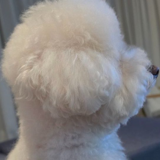 haieunseok's tweet photo. https://t.co/1rkfioqPSc