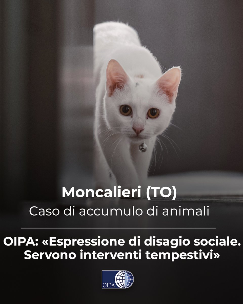OIPAItalia's tweet photo. ⚠️Animali sequestrati a Moncalieri, OIPA: «Accumulo di animali espressione di disagio sociale. Servono interventi tempestivi» 👉https://t.co/RY1qckyYNI https://t.co/IqiZWDen16