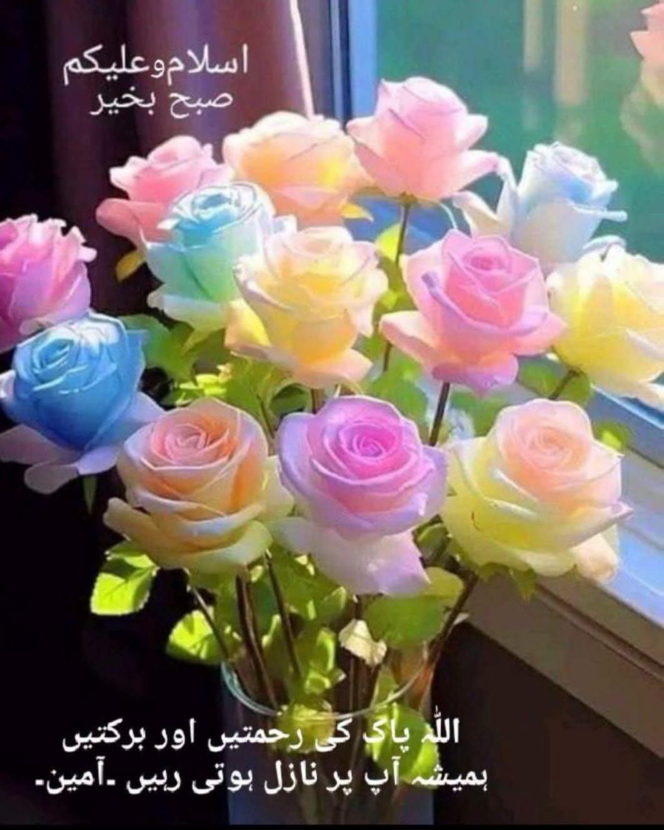 AHashmi_190's tweet photo. اسلام وعلیکم و رحمت اللہ و برکاتہ🥀

 میرے رب کائنـات دنیـا میـں جتنـے بھی لوگ بیمــار ہیـں ان کی بیمـاری دور فــرما دے
جتنـے بھی لوگ پـریشـان ہیـں ان کـی مشکل حل کـر دے  
 اپنـی خـاص رحمت کــےصــدقے سبـکــے دامـــن میـں ڈھیـــر ســاری خـوشیــاں لکـھ دے!!
#داستان_دل #قومى_زبان https://t.co/ZO4kMbjEqc