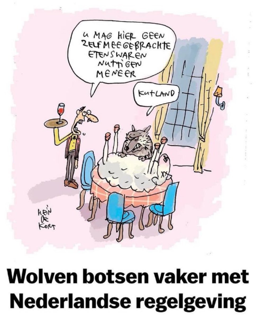actualiteitjunk's tweet photo. #Wolven #Nederland...
@Hein_Kortoons https://t.co/r45rrKTc4F