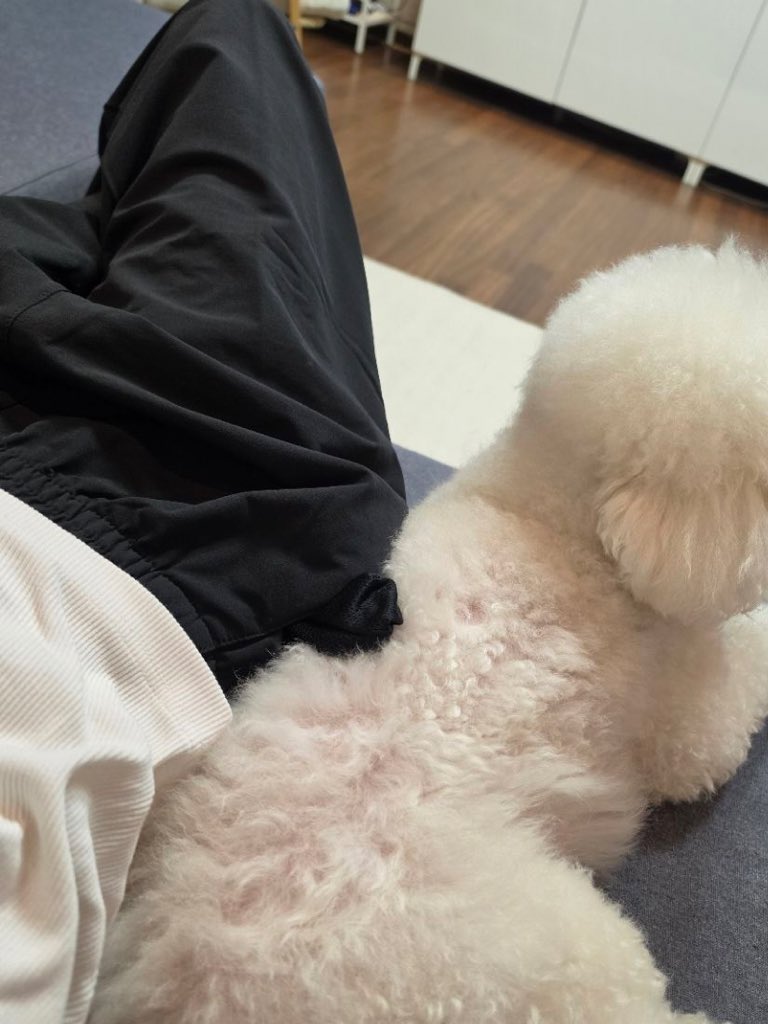 blessmebape's tweet photo. อะไรอย่างงี้อะ t.t https://t.co/lqUcdukzjL