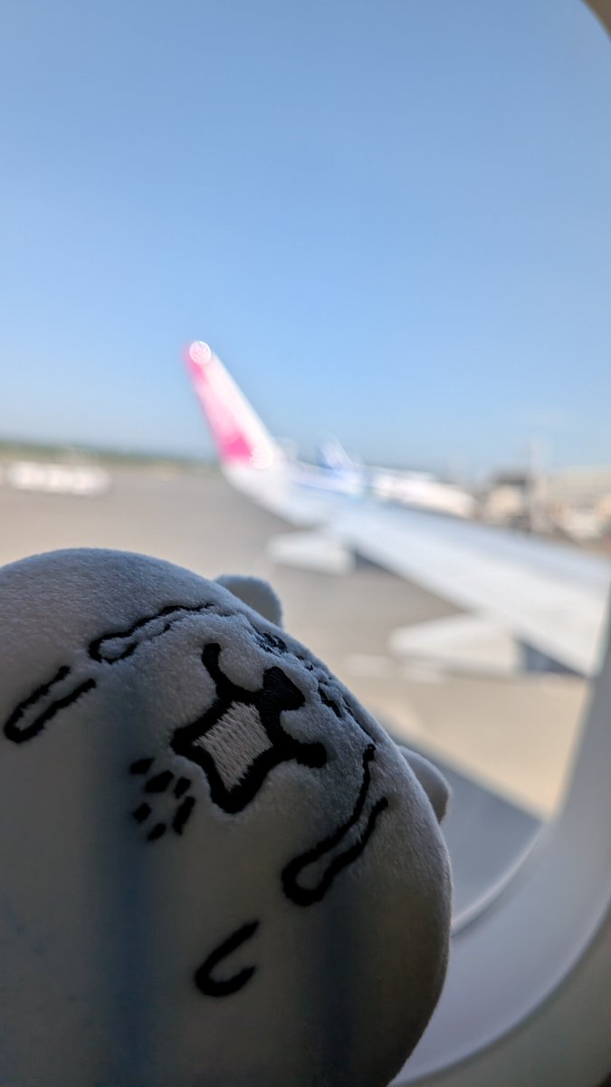 jun_20200501's tweet photo. そういえばこの泣き叫ぶくまのぬいぐるみ付けて旅行したんですけど

どう撮っても絶対無理やり連行されてて超良かったです

https://t.co/WNWheaPfhI https://t.co/NgaraP3Z9V