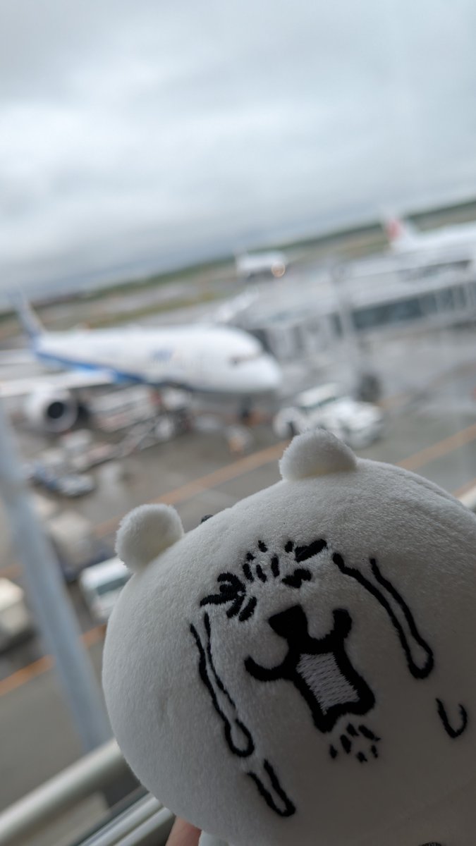 jun_20200501's tweet photo. そういえばこの泣き叫ぶくまのぬいぐるみ付けて旅行したんですけど

どう撮っても絶対無理やり連行されてて超良かったです

https://t.co/WNWheaPfhI https://t.co/NgaraP3Z9V