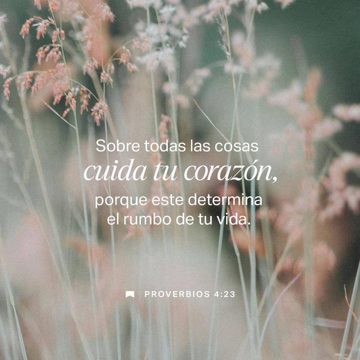 AlexBikers's tweet photo. Buen día para todos que tengan un excelente día bendiciones para todos 🙏🌄❤️🙌😊🤗

https://t.co/TA5BodkOGC https://t.co/w6UGauQ0QB