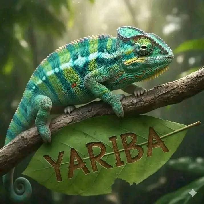 SPIREX22's tweet photo. @EBona69 He dinned with the creature below😃 https://t.co/NIo5PLWhhC