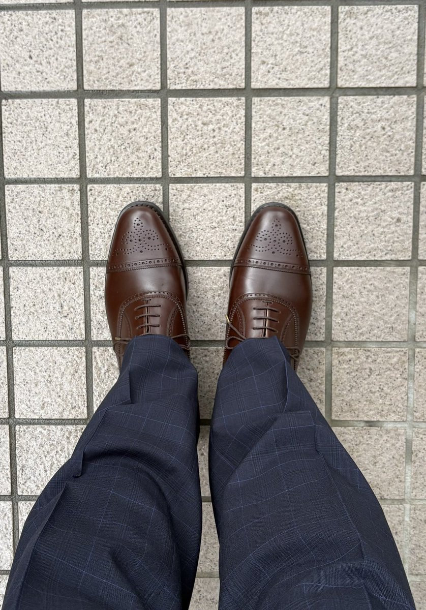 00731a's tweet photo. 2026/9/29
ダークブラウンのシャインオアレイン

今年は雨が多く助かり���す。
明日は中間決算！

#スコッチグレイン https://t.co/AKlNPa8ucc