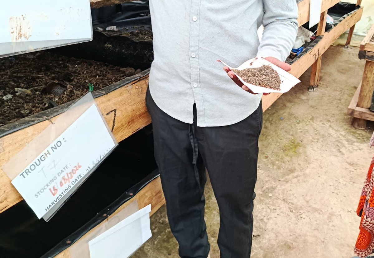 Wemihs2's tweet photo. WEMIHS recently hosted WorldFish for a knowledge-sharing visit on affordable, sustainable fish feeds, including locally available ingredients such as BSF larvae and soybeans.

#WEMIHS #WorldFish #Aquaculture https://t.co/kM4nkwk3Eq