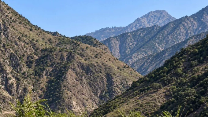 Clash Between Freedom Front and Taliban Casualties