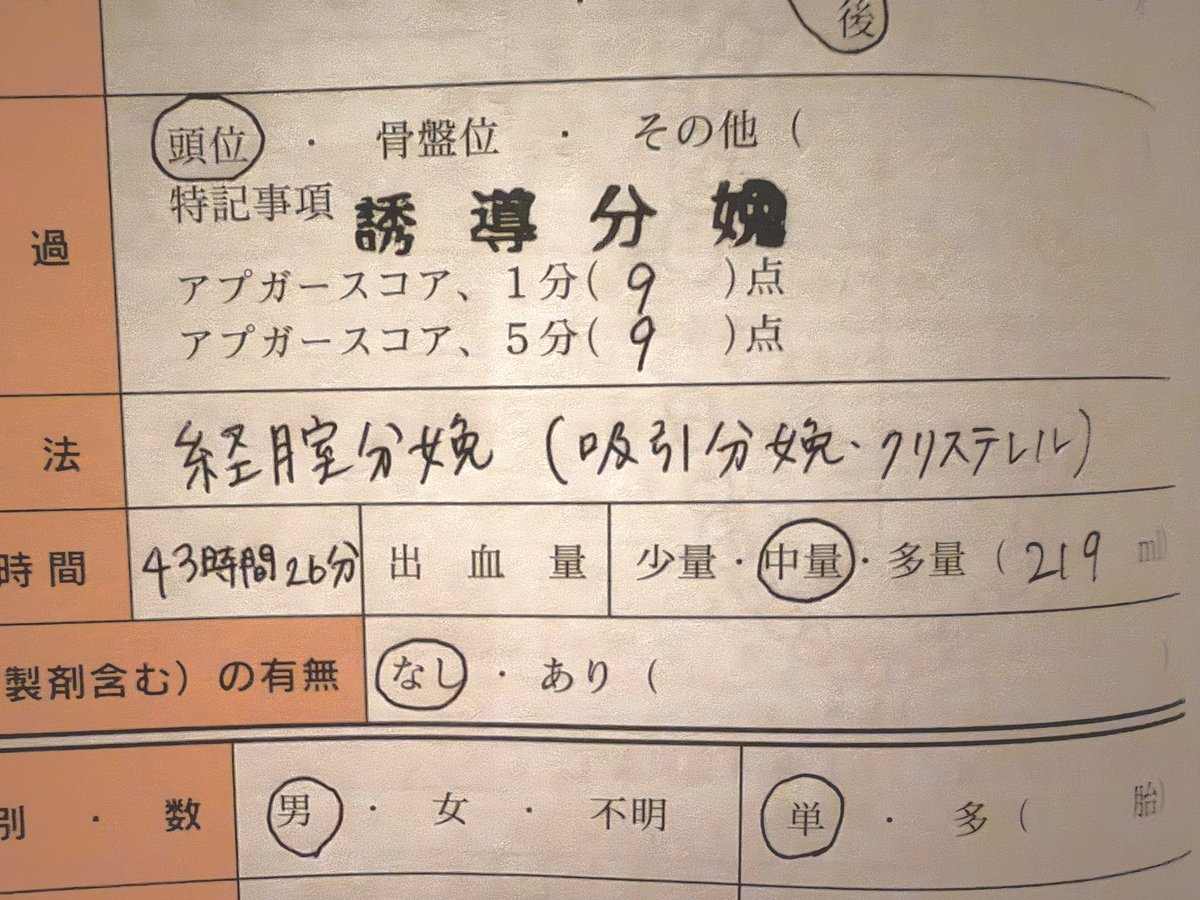 ___llllcc's tweet photo. 産む才能なんて一切ないが2人目も産もうと思う！ヘルメット矯正もする！GG(ゴミゲー) https://t.co/4mFpNf1bgL