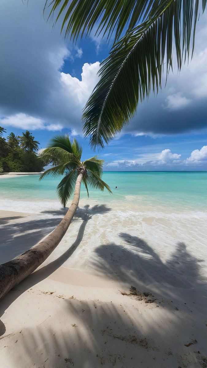 viewsoff's tweet photo. Punta Cana https://t.co/DgggUfbaeg